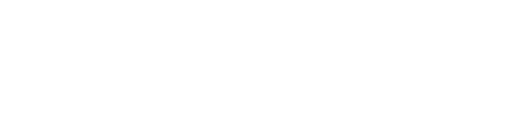 manifest.json